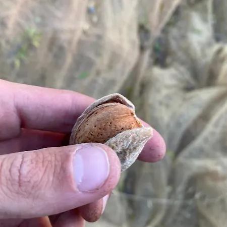 Al Canneto 아파트